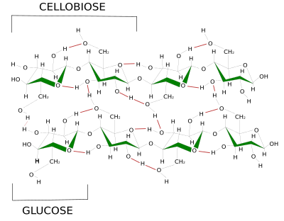 Cellulose