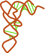 tRNA