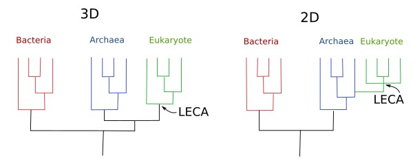 Origin fo eukaryotes