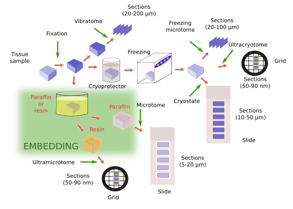 Embedding