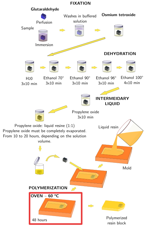 Resin embedding