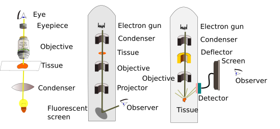 Microscopes