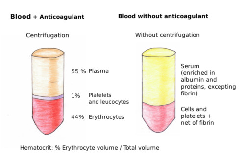 Hematocrit