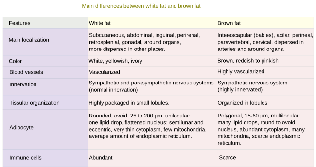 Table fat features