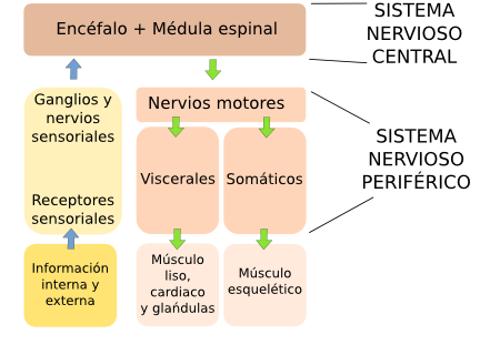  SNC-SNP