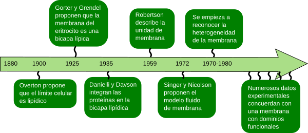 Modelos de membrana 