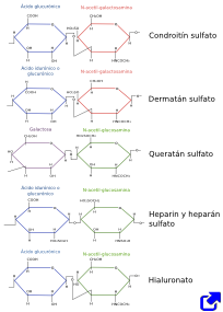 Glycosaminoglycans