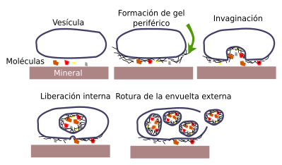 Celularidad 