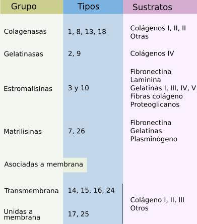 Metaloproteinasas