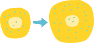 Concentración molecular 