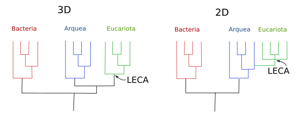 Origen de los eucariotas