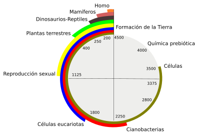 Reloj temporal