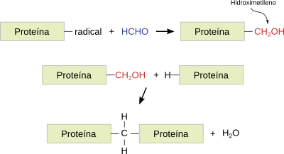 Formaldehído