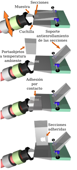 Criostato