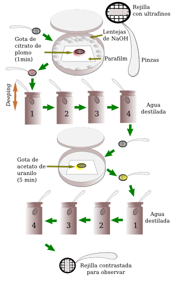 Contraste de secciones ultrafinas