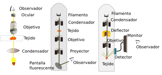 Microscopios