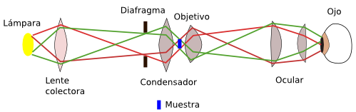 Luz y lentes