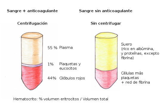 Hematocrito