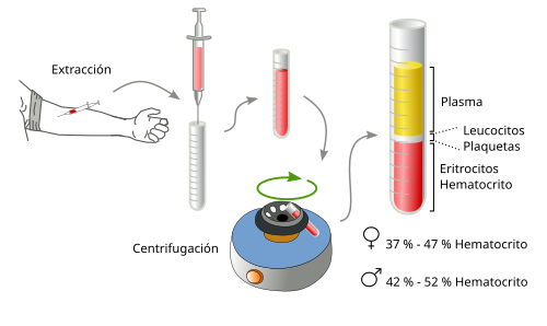 Células de la sangre